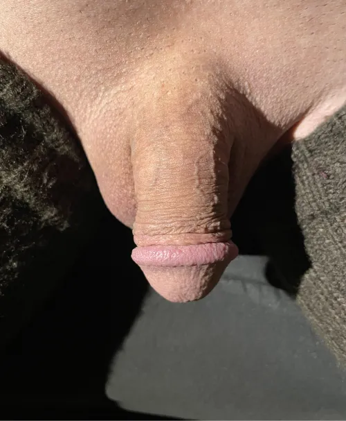 [25] do you like my penis when I shave it nice and smooth???