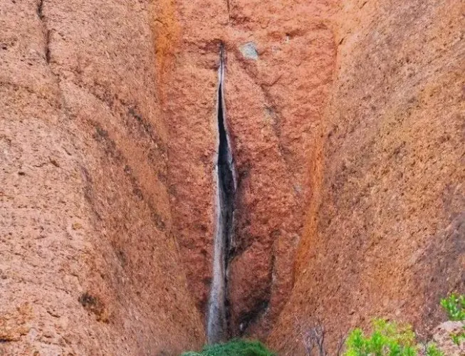 A moist crevice