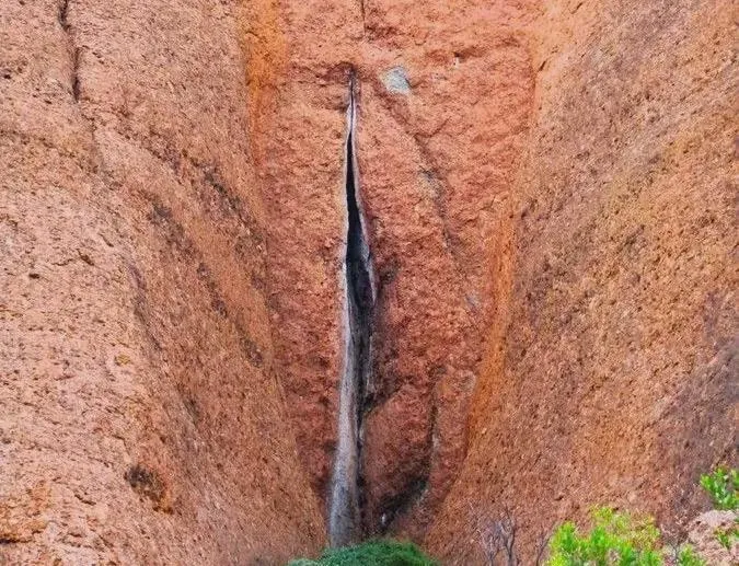 A moist crevice