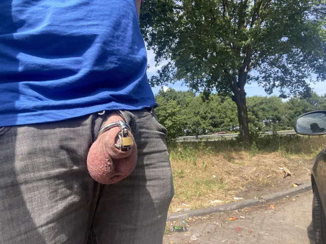 Along the highway today