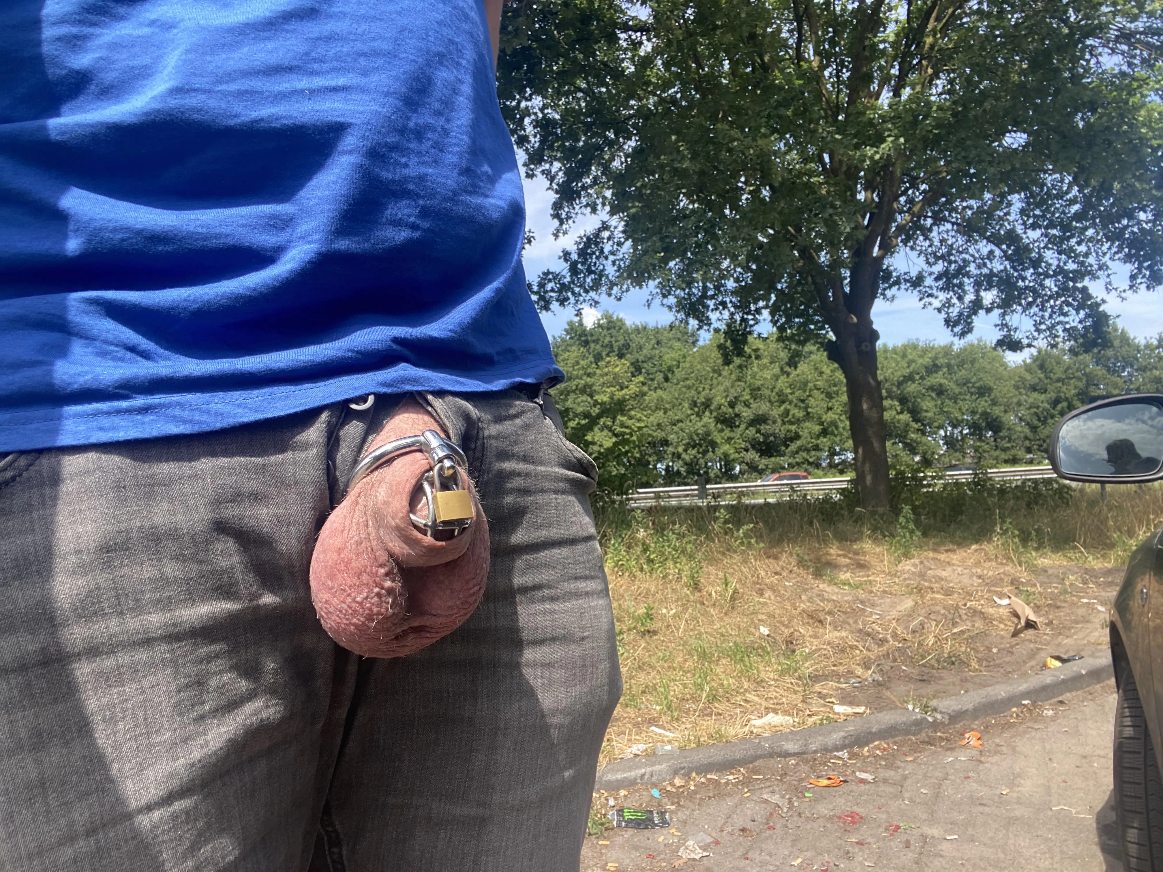 Along the highway today