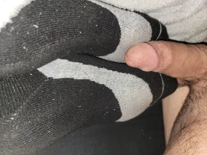 Anyone want mrssox dirty cum socks.