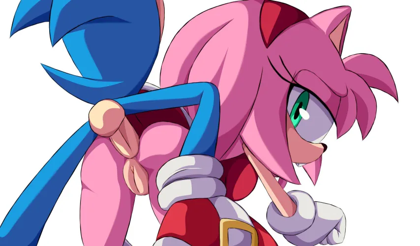 Sonamy anal (koturitsu)