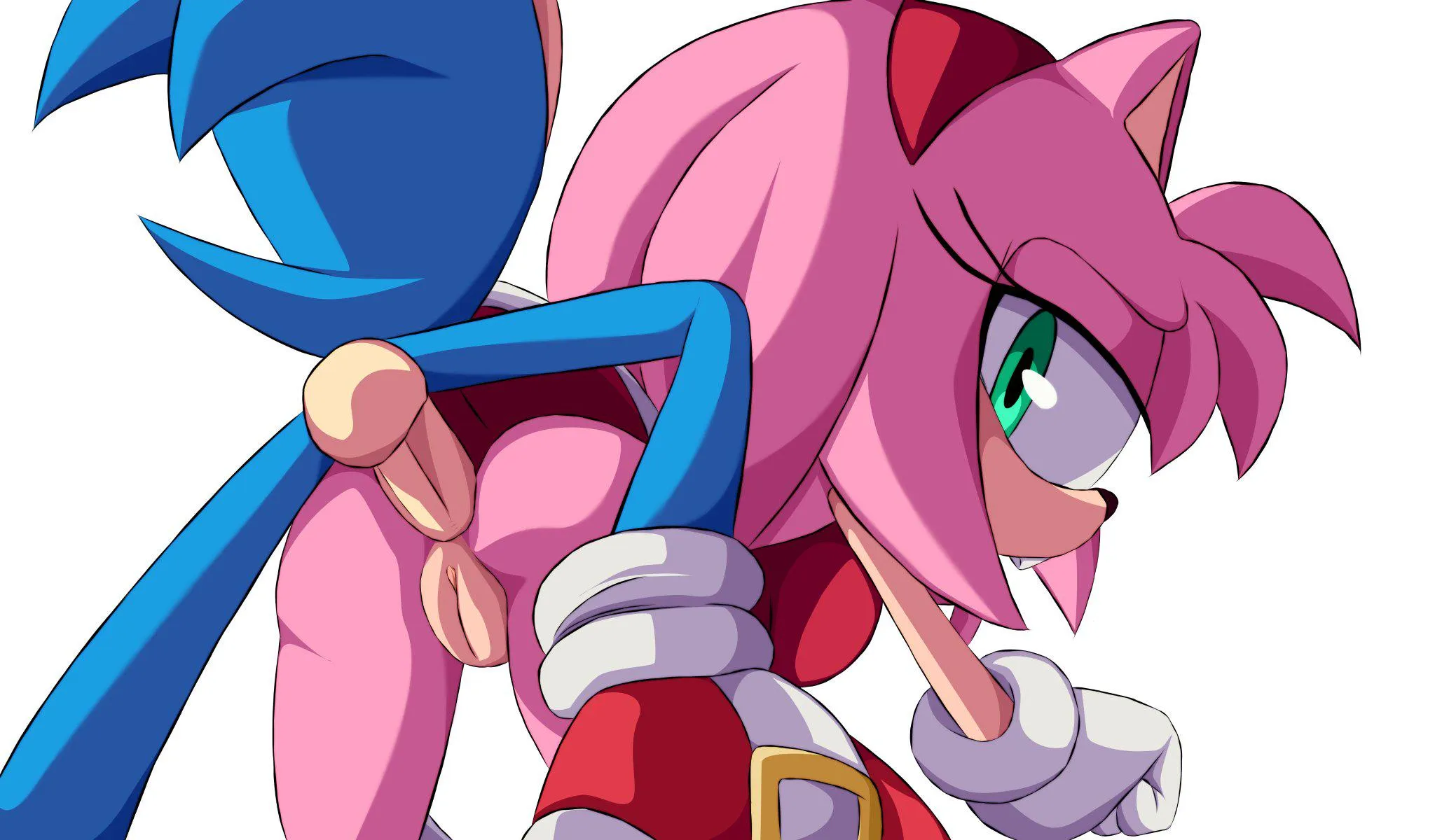 Sonamy anal (koturitsu)