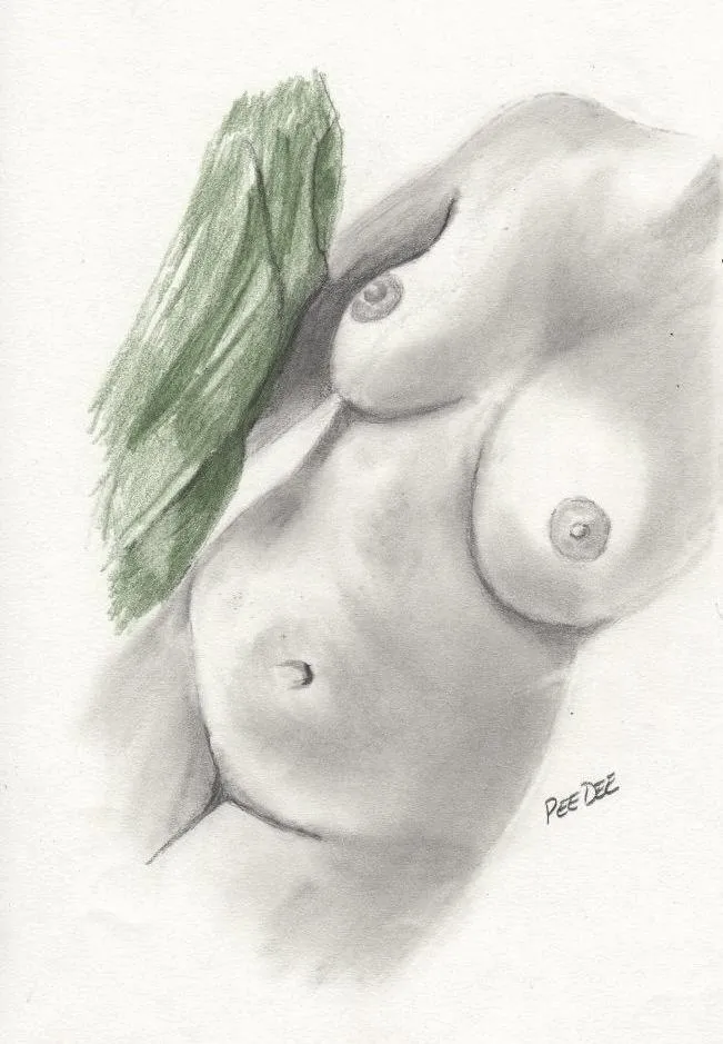 Um fã fez um desenho meu!! O que acharam??