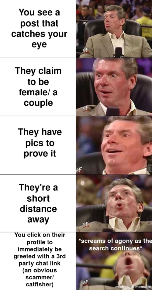 Yes, I'm aware this doesn't technically fit the subs rules. Just wanted to make a quick meme/psa. Stay vigilant folks. Don't let the horny make you fall for fakes.