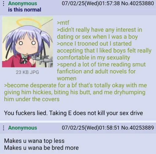 Anon’s mind RUINED by smut