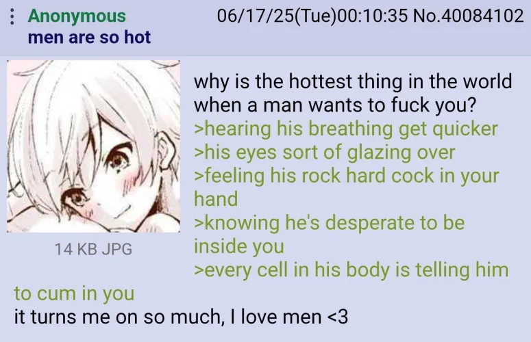 Anons schizo gay fantasy