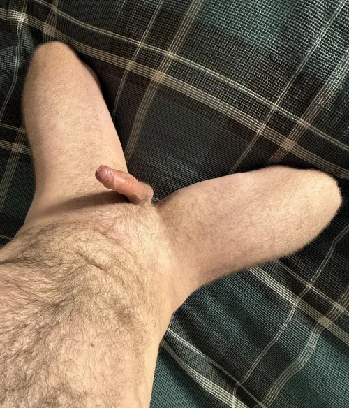 Took this and thought “reddit will love it”