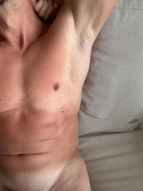 It’s Friday! Sniff, lick and pay your taxes 💶