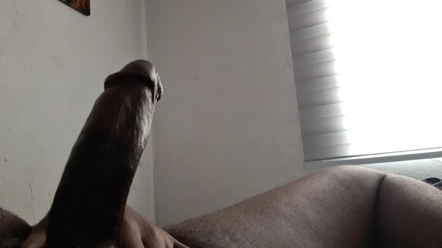 Needs some sloppy head.. M29 JHB