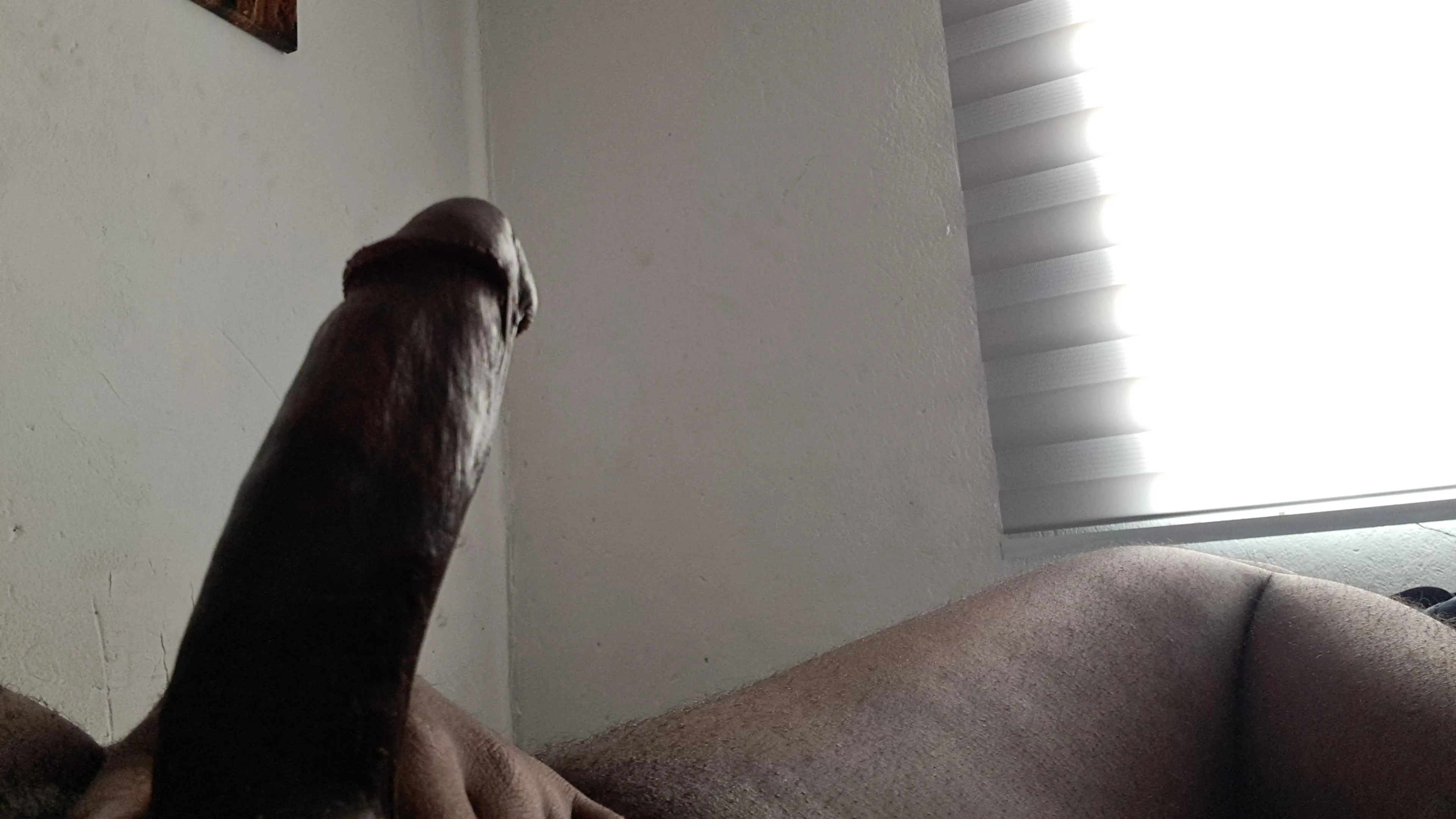 Needs some sloppy head.. M29 JHB