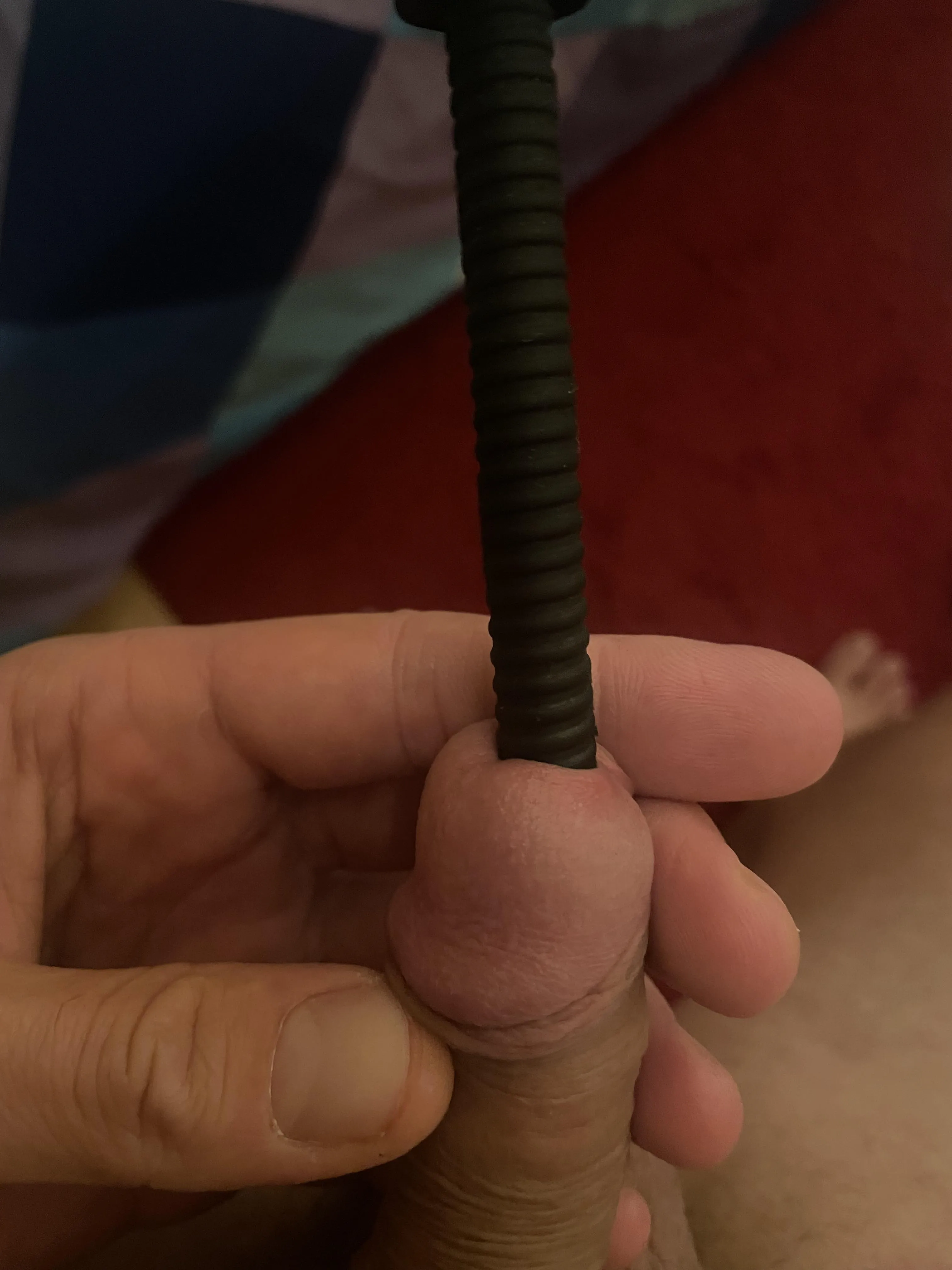 so horny ❤️‍🔥