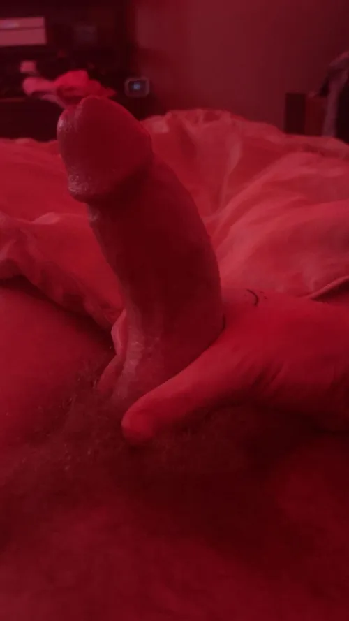 can you fit it all in your mouth