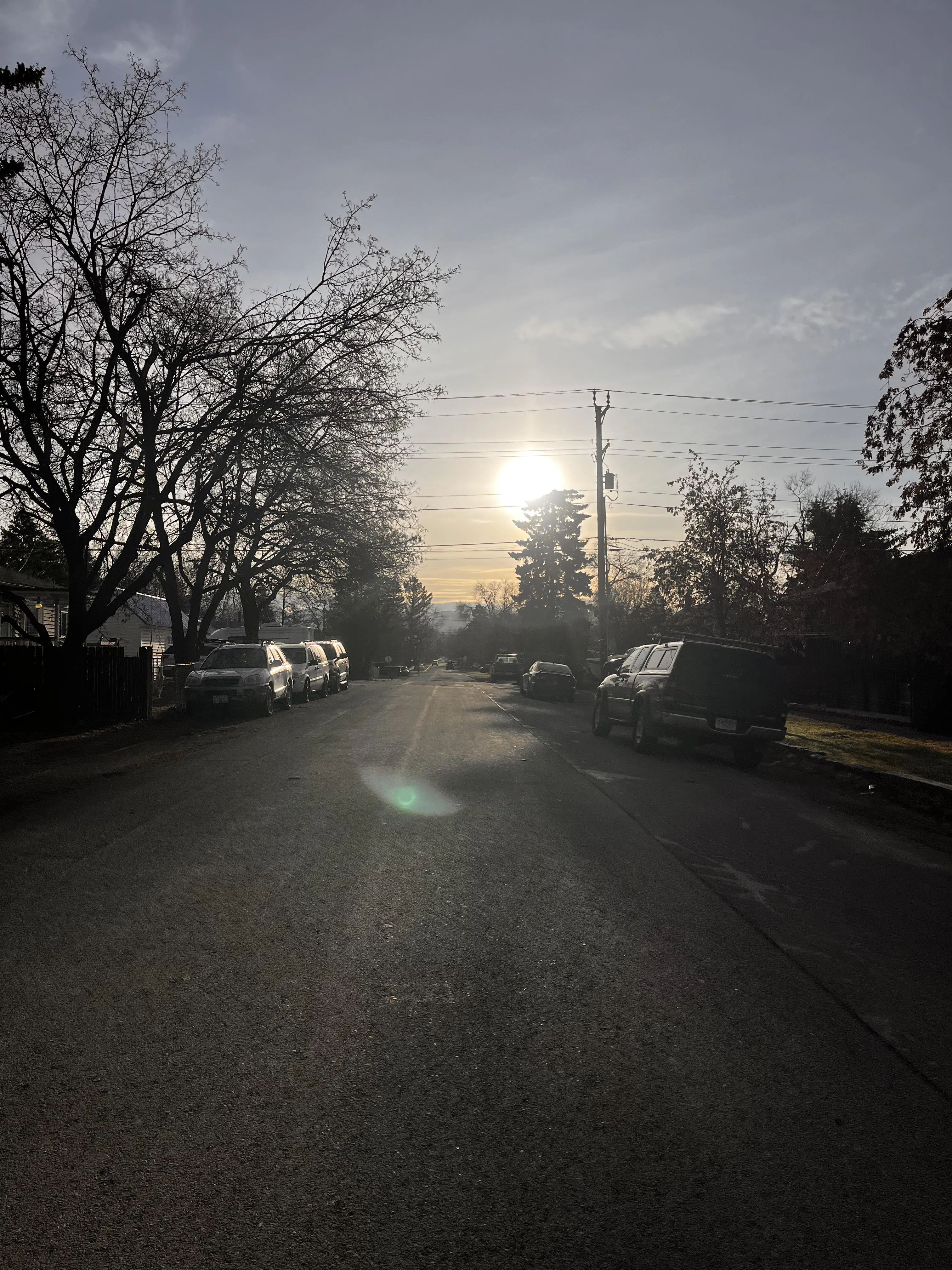 19 M4F flathead - seeking