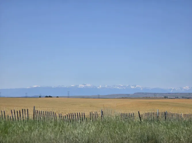 32 M4F Billings - looking