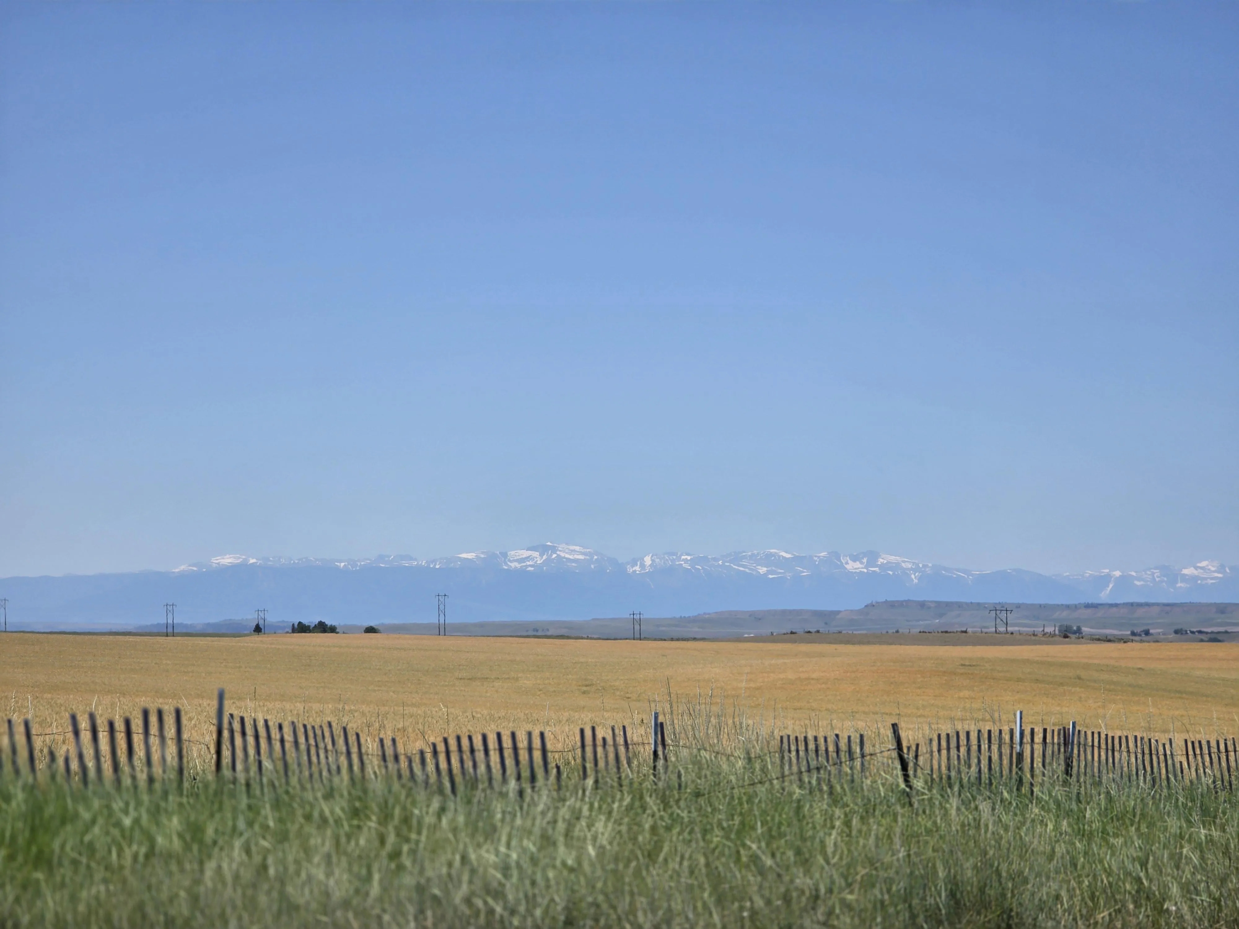 32 M4F Billings - looking