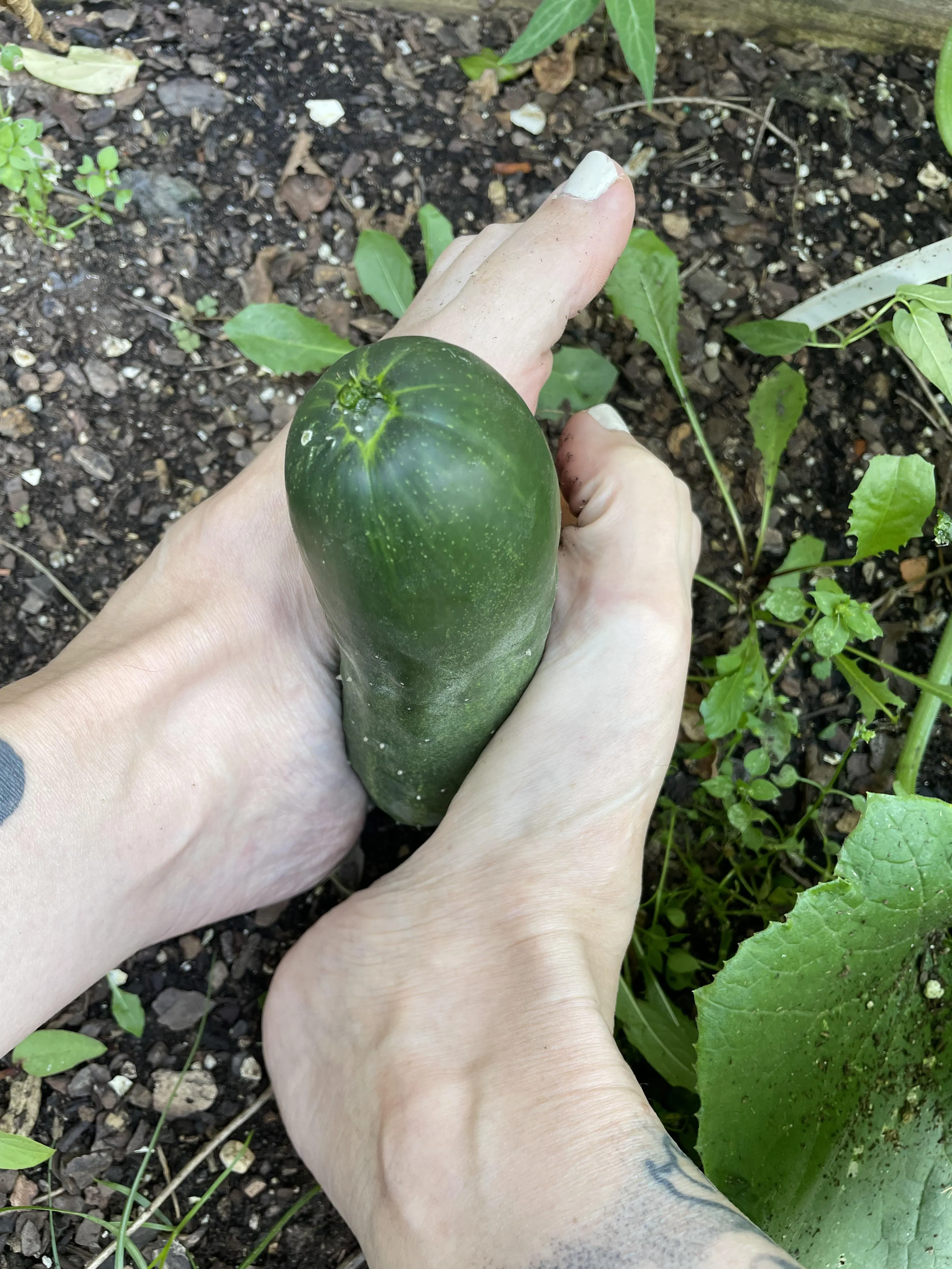 Any vegetarians out there?