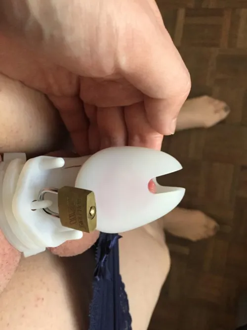 Es gibt Zeichen wenn der Penis kleiner geworden ist