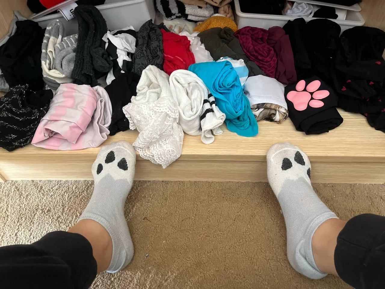 Experienced [CAM]girl, [SUB]&[DOM], Taking requests for your custom [VID]&[PIC]. [SEXT]ing, [GFE] & [RATE]. The center of all of your [FET]ish 😈 Menu pinned on my profil 😉 plenty of socks to try for you