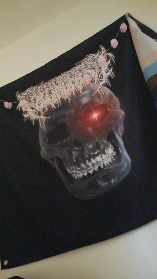 What's everyone's favourite metal bands?