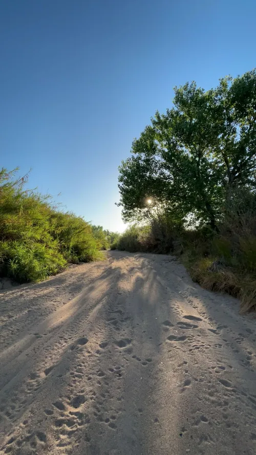 18M looking to get / give bj in fields or river