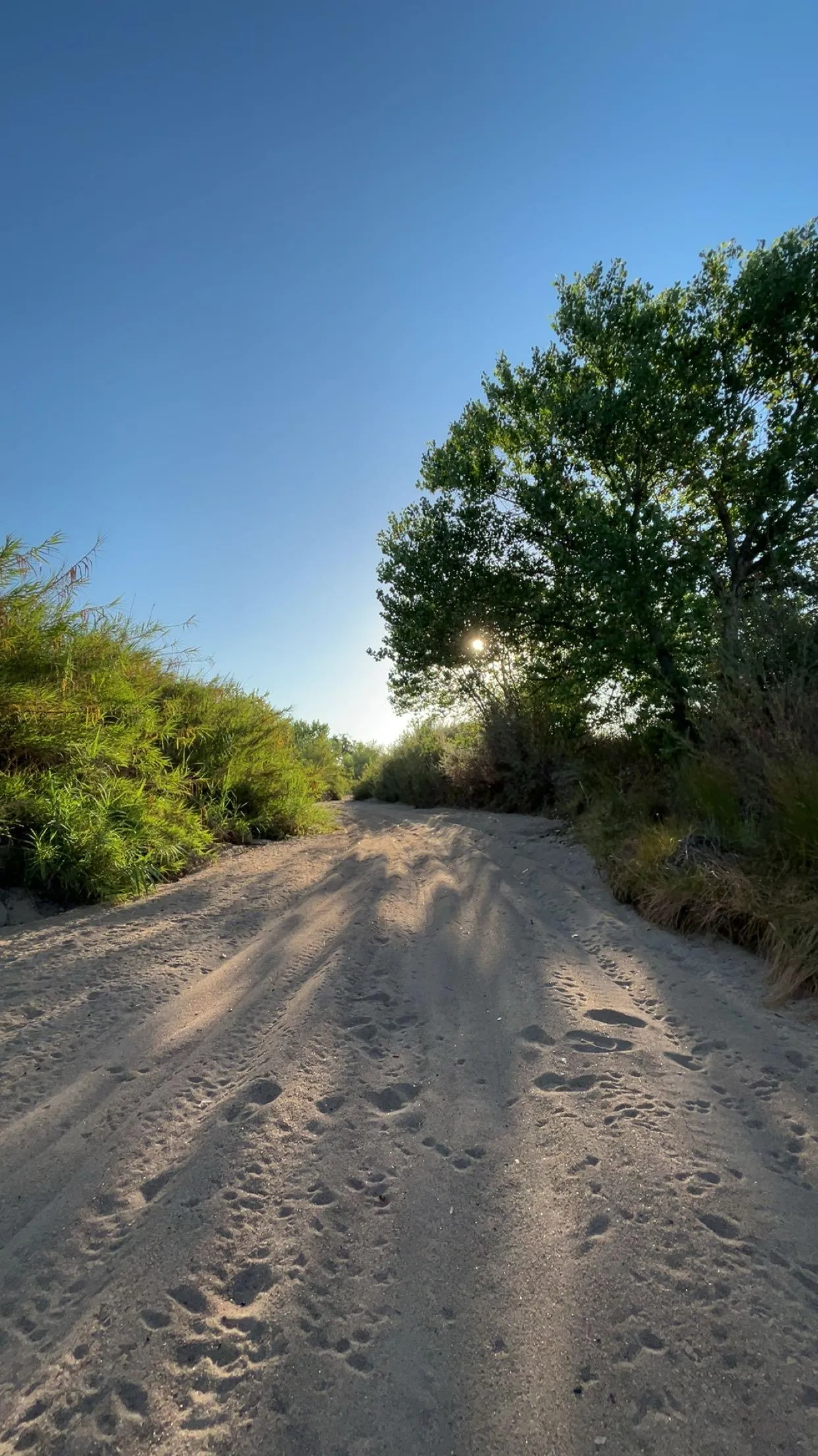 18M looking to get / give bj in fields or river