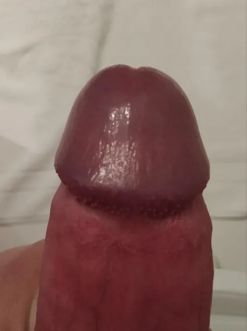 (23) oq acham da cabeça do meu pau?