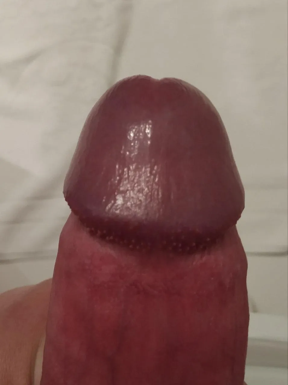 (23) oq acham da cabeça do meu pau?