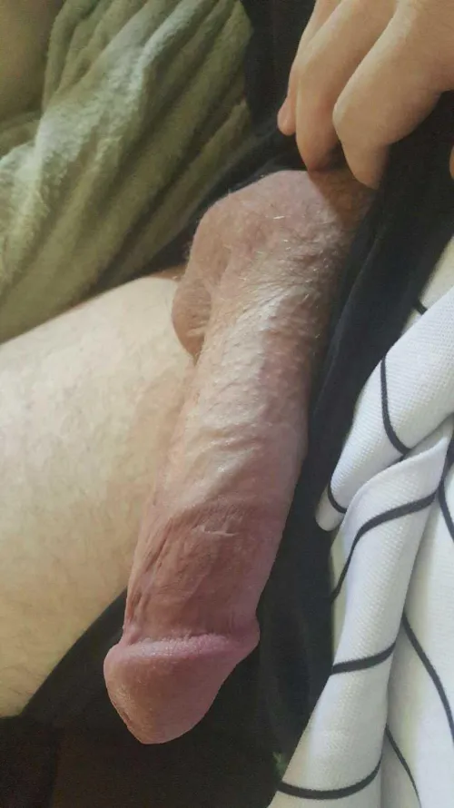 Bi curious cock