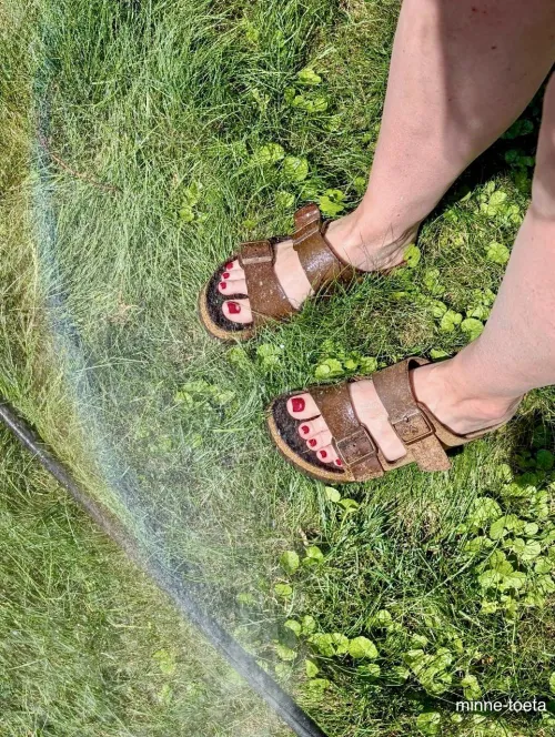 Birkenstock Garden Spray—Rainbow Reward for My Wet Feet!