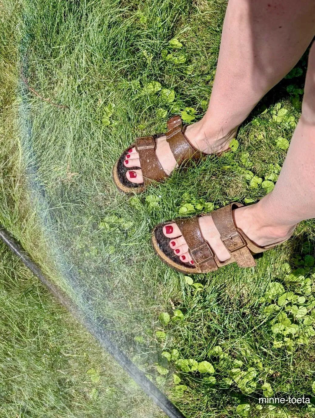 Birkenstock Garden Spray—Rainbow Reward for My Wet Feet!