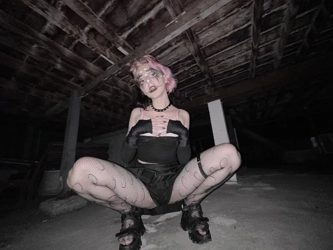 didn't have time to hide in the dark completely