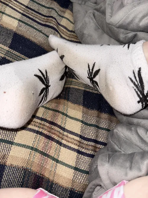 2 day wear home health care