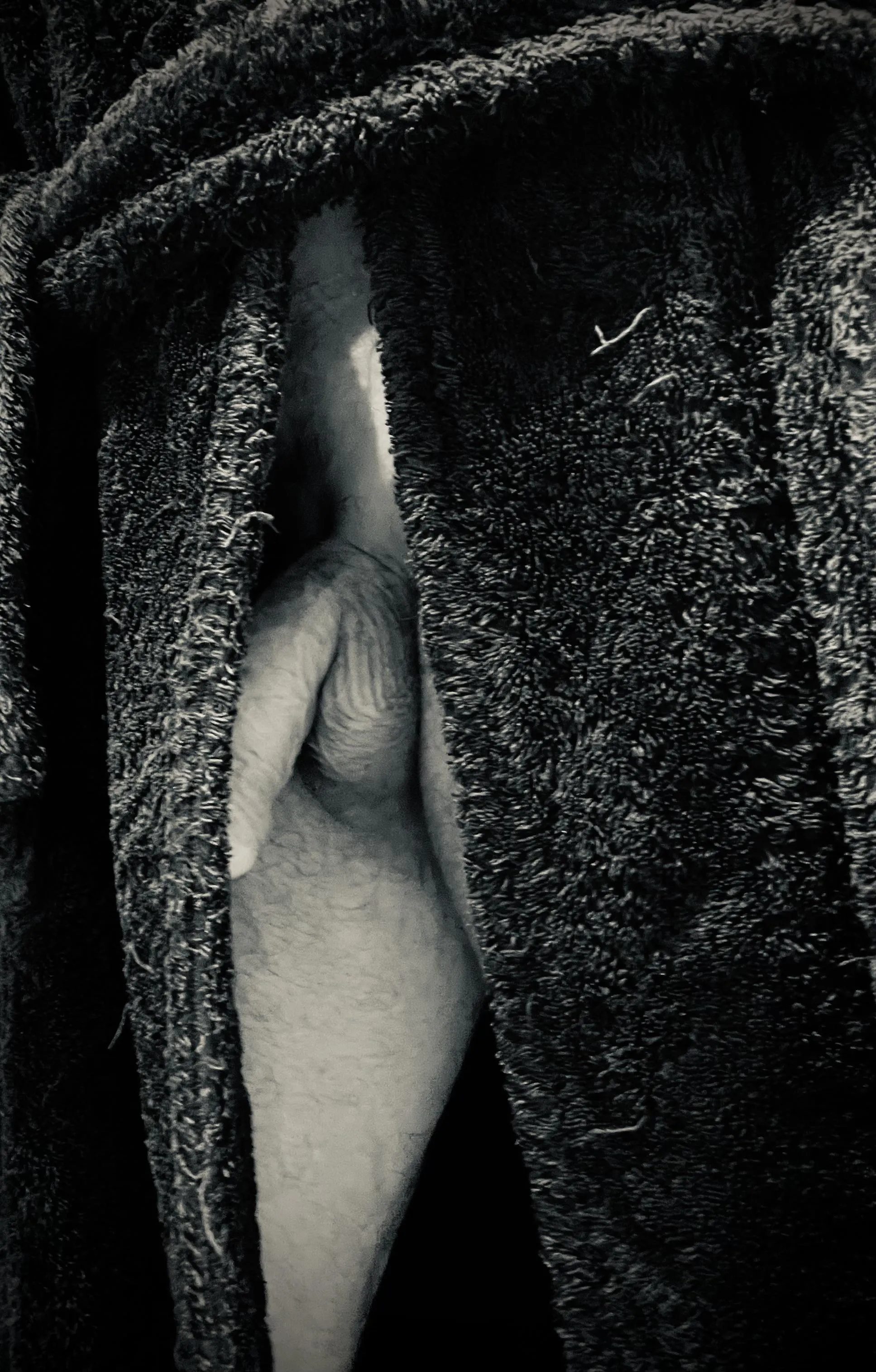 Cheeky dressing gown pic.