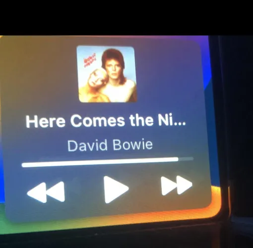 DAVID DON’T SAY IT