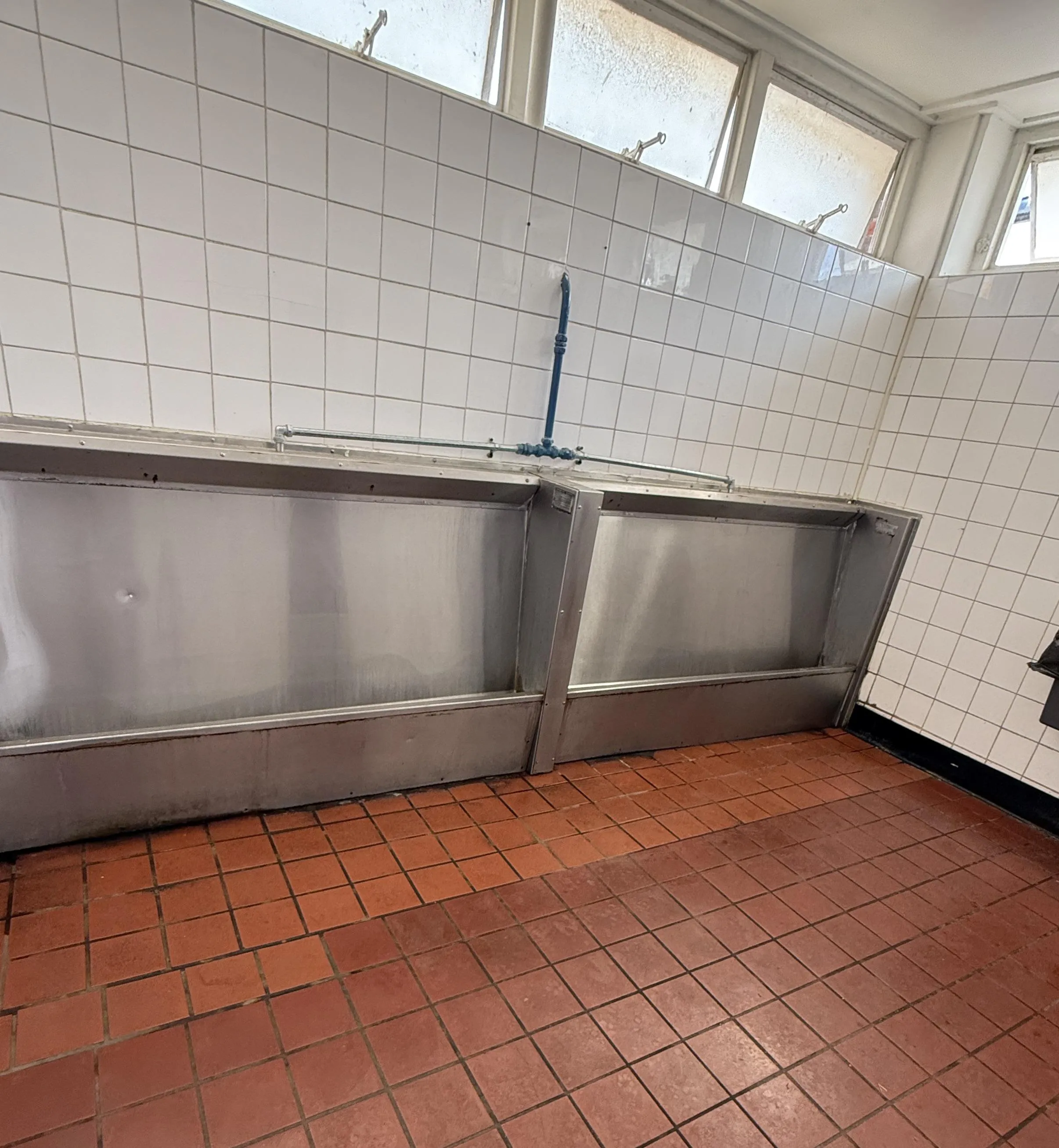 Found these behind the town square in Sandwich