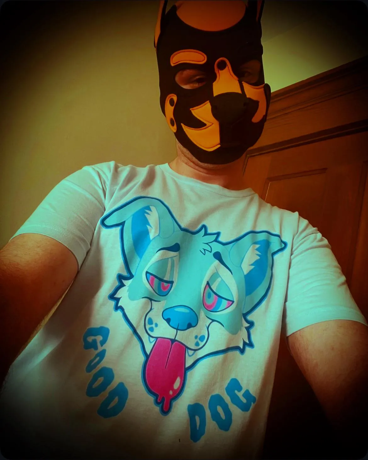Look at my shirt puppy…such a good dog…you want to look like that for me don’t you…such a good dog…tongue out and spirals for eyes…such a good dog…