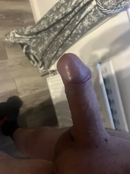 Morning horn Armagh based