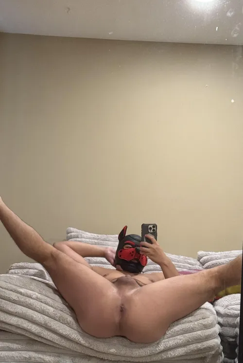 Rate this Pup’s flexibility