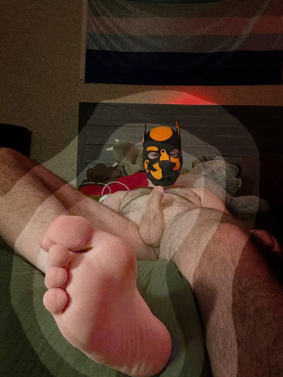 Shhhhh focus pup…focus on what’s important…that’s it…that’s a good puppy…you’re being such a good puppy for me…