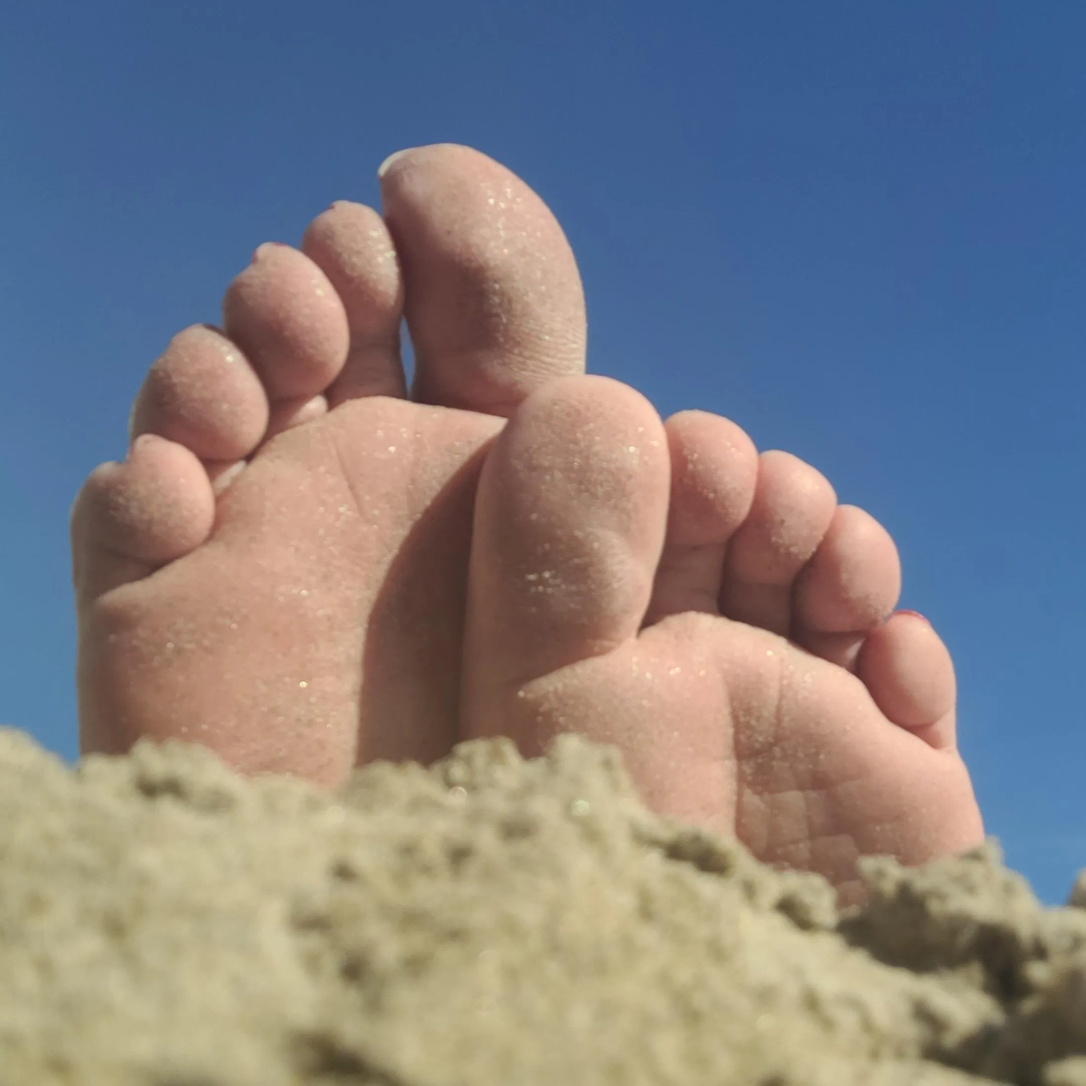 Somewhere a sand sculptor is taking notes