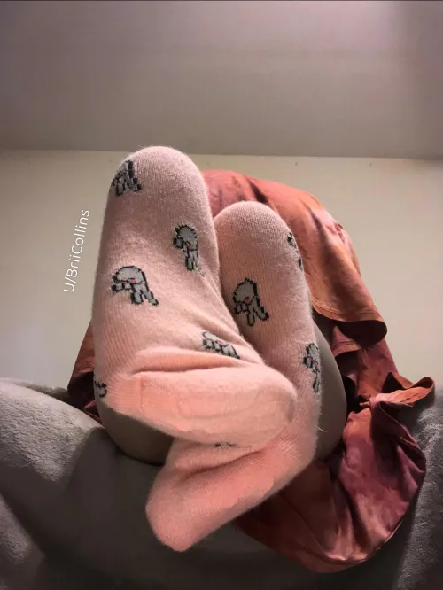 Such a soft, cute pair 🥰✨