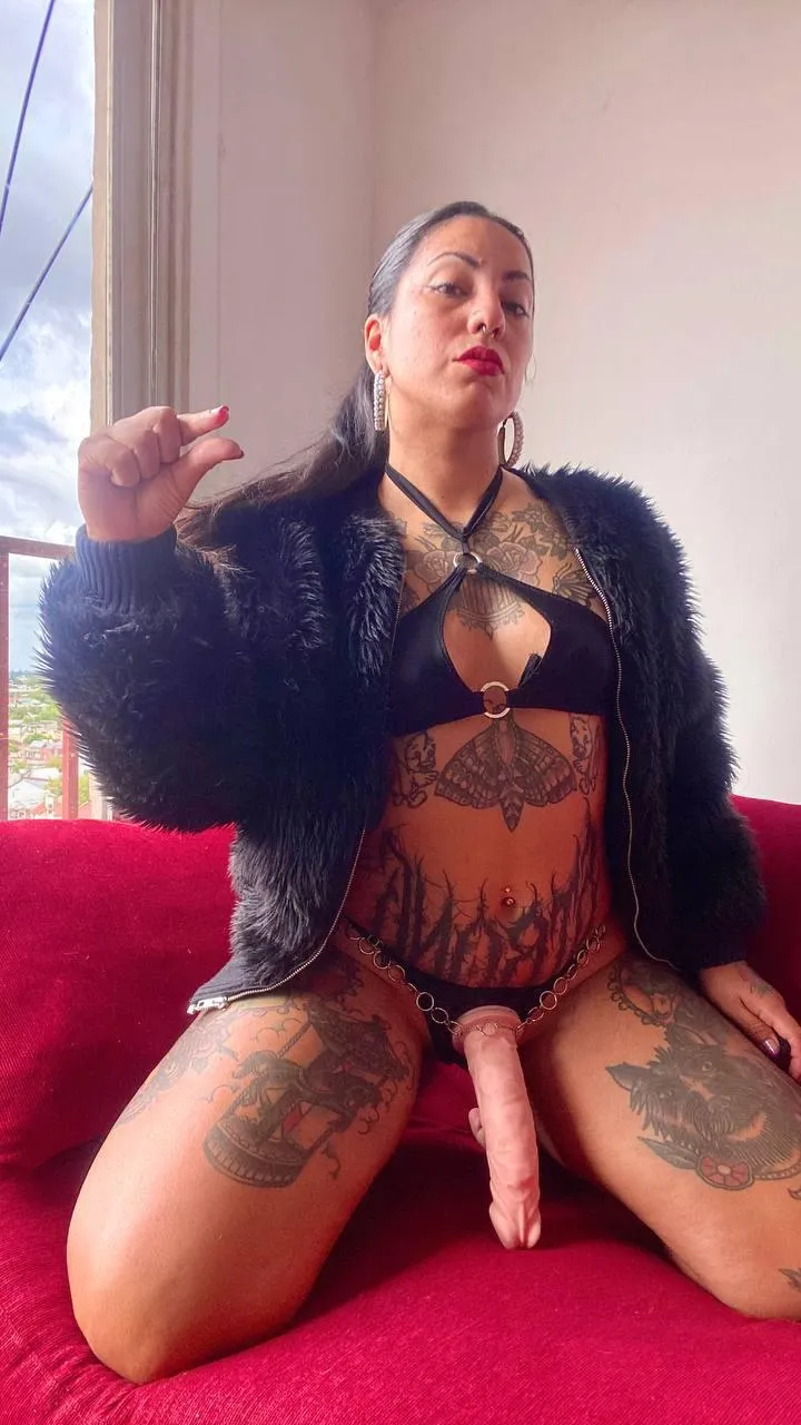 There’s no room for your pain, only for my absolute pleasure