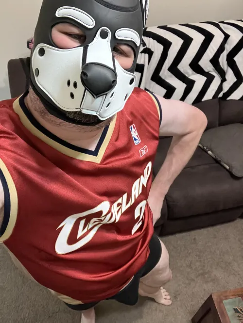 Thoughts on this pic?