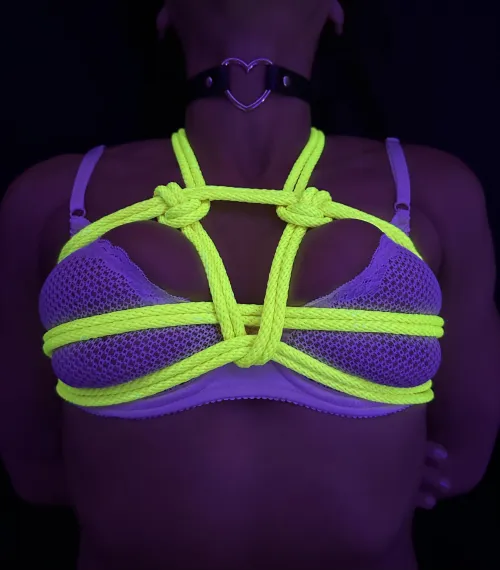 Chest harness from this weekend