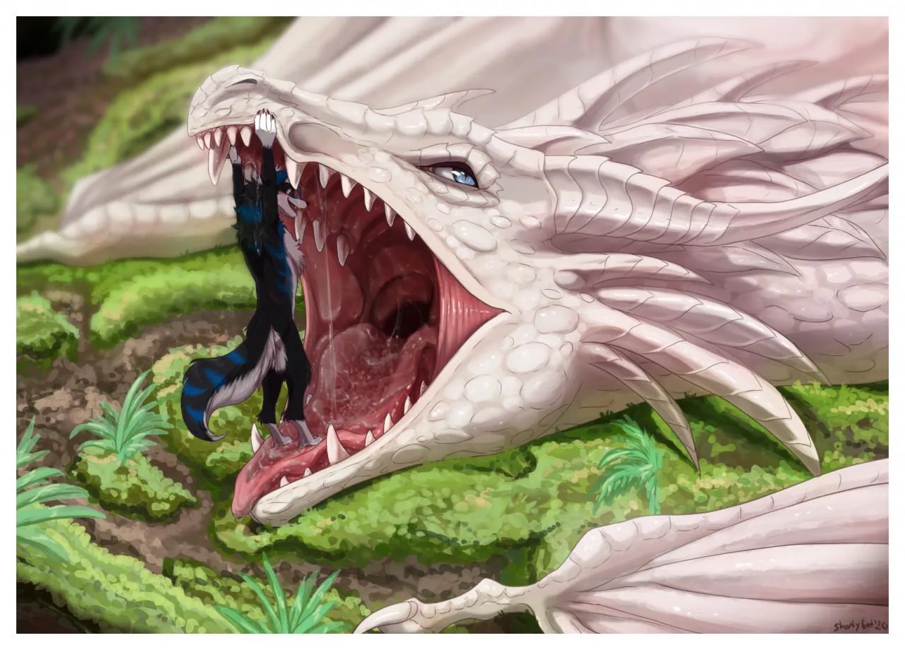 Faynox Commission (shorty-antics-vore) [MF]