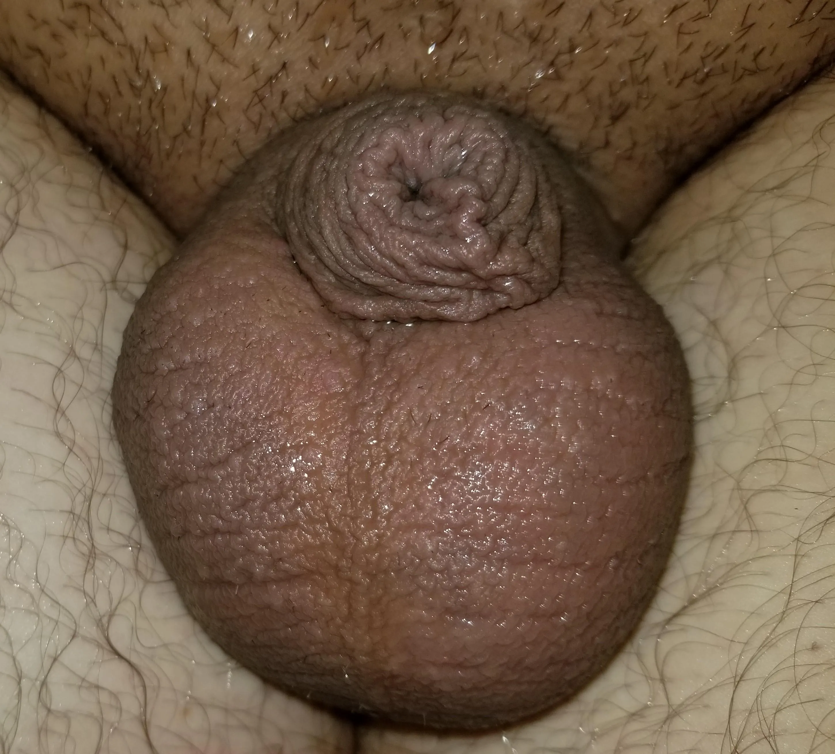 Should we put it in cage?