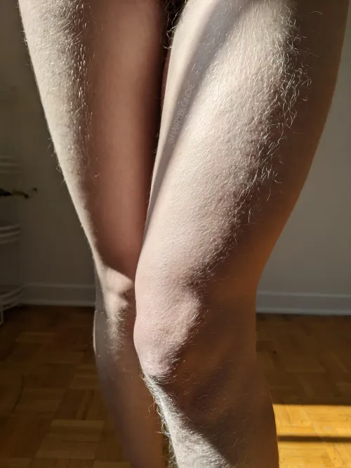 The higher you go, the hairier it gets