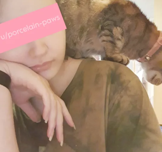 tried taking a pic of my nails and had a little visitor spawn on my shoulder 🐾